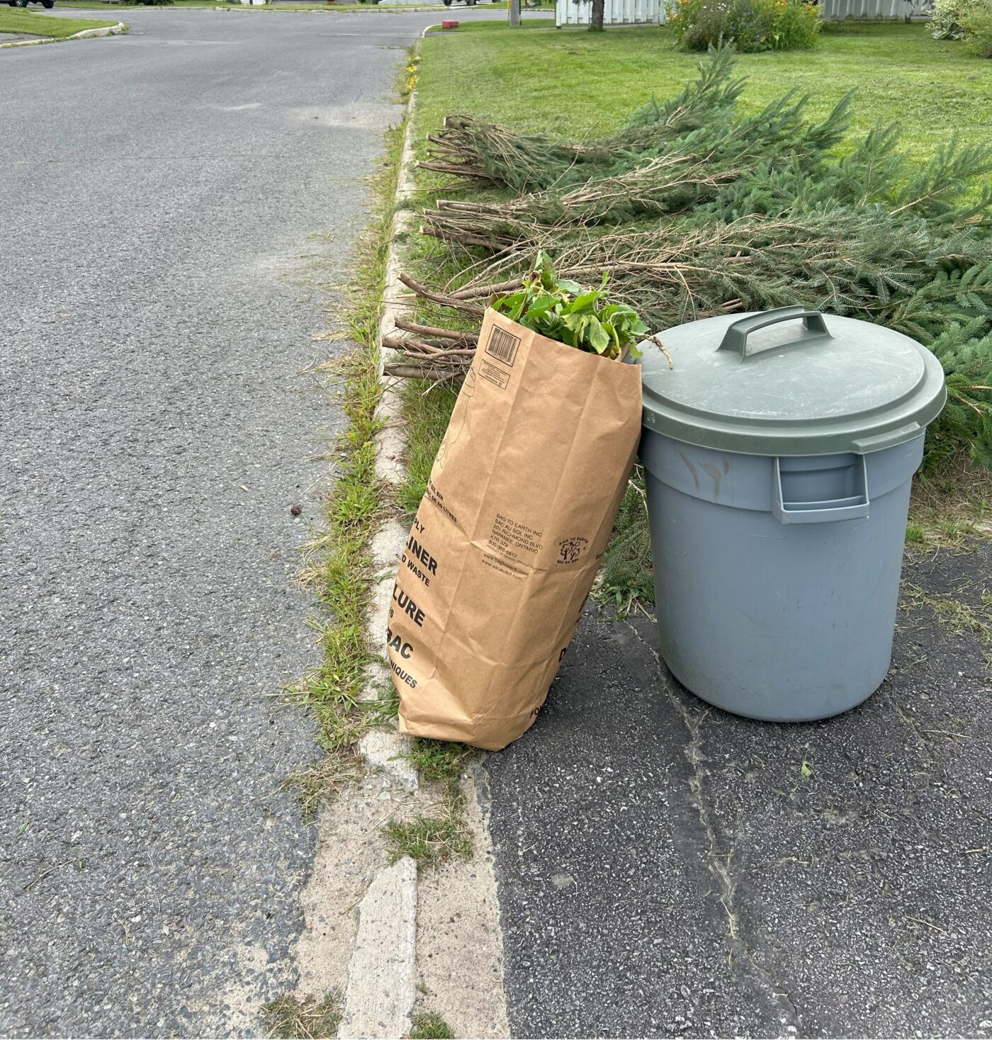 A large brown paper bag filled with garden waste and a gray trash bin sit on the curb alongside trimmed tree branches, ready for collection.